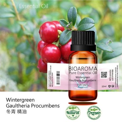 【芳香療網】Wintergreen - Gaultheria Procumbens 冬青精油 10ml