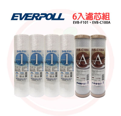 ❤頻頻小舖❤ EVERPOLL 愛科濾淨 一年份濾心 6入組 1微米 EVB-F101 C100A