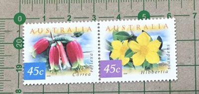 【花卉】澳洲1999年SC1734/5，折瓣鍾南香/Hibbertia scandens 2枚，原膠未貼新票 ，8012