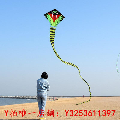 風箏23新款青蛇風箏微風易飛成人專用大型高檔長尾蛇兒童卡通初學風爭戶外