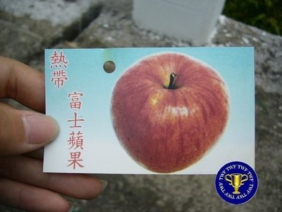 ╭＊田尾玫瑰園＊╯水果苗-(富士蘋果)高4尺700元-清脆和甜美的口感