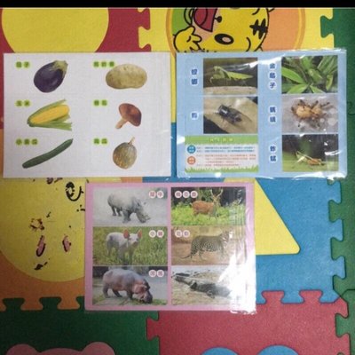 全新 巧連智 巧虎 幼幼版 小小班 動物對對碰圖卡、蔬菜料理圖卡、昆蟲數字火車圖卡