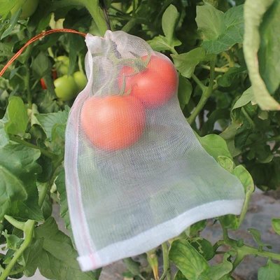 促銷打折 水果紗網袋網子袋葡黃瓜鳥防蟲防YYR尼龍套袋浸種育萄種袋收納袋