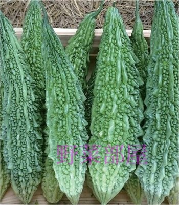 【野菜部屋~】K21 小綠山苦瓜種子1粒 , 早生品種 , 產量高 , 質量穩定 , 每包15元 ~