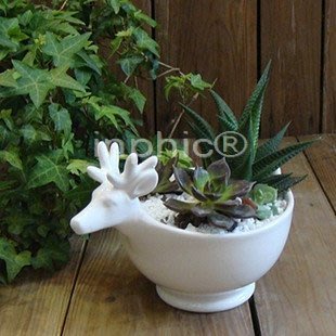 INPHIC-白色鹿角陶瓷花盆 花器 多肉植物必備花盆純白色 百搭