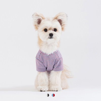 2021春夏新品法斗泰迪狗狗基礎條紋簡約T恤狗衣服寵物服飾丨Sniff