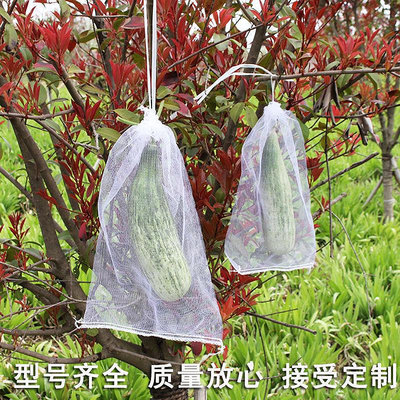 草莓果實套袋水果保護袋防鳥防蟲網袋紗袋透氣番茄無花果藍莓葡萄