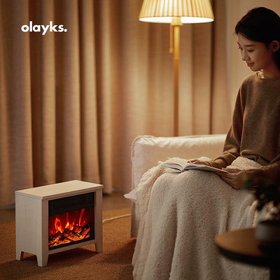精品olayks歐萊克出口北歐暖風機電暖氣取暖器仿真火焰電壁爐烤火爐