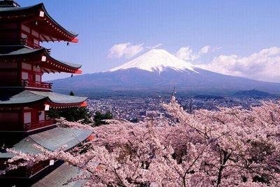 下殺 【拼圖】富士山成人1000片木質拼圖益智唯美風景日本經典風光櫻花