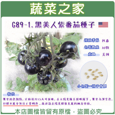 【蔬菜之家滿額免運】G89-1.黑美人紫番茄種子10顆 // 果實顏色獨特。定植後約75天可採收