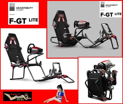 【宇盛惟一】 NLR  F-GT LITE 賽車架 賽車椅(手排架可直上TSSH手煞桿)