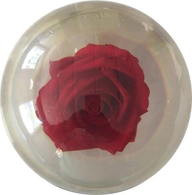 BEL保齡球用品 美國OTB品牌補中透明造型保齡球 永錮玫瑰只有14磅
