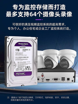 海康威視監控錄像機專用機械硬碟1TB 2T 3T 4T 6T 8T監控存儲紫盤