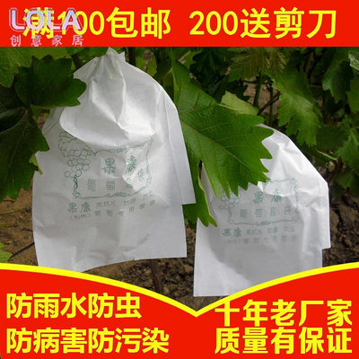 葡萄袋子葡萄紙袋子專用防雨水防蟲套袋白色水果套袋包郵蓮霧柚子-LOLA創意家居