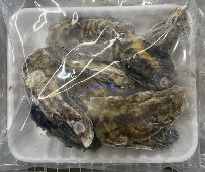 美兒小舖COSTCO好市多代購～日本宮城縣 養殖冷凍帶殼牡蠣(1kg/盒)建議料理方式: 燒烤.清蒸