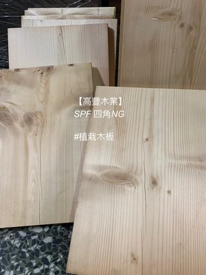《高豐木業》植栽木板 SPF木板 30x28.5x1.9cm 鹿角蕨 蕨類植物 木板，台南木材專賣店