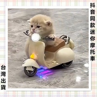 [台灣出貨]迷你摩托車 玩具摩托車 機車玩具 玩具機車 寵物玩具 小摩托車 倉鼠玩具 抖音同款 電動車玩具 禮物