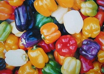 【蔬菜種子S234】彩色燈籠椒~~燈籠形甜椒果實，多色果種子混合裝，耐熱、果大、美觀、味道好、品質佳，適宜生吃。
