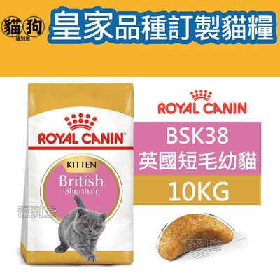 寵到底-ROYAL CANIN法國皇家FBN品種訂製貓系列【BSK38英國短毛幼貓】10公斤