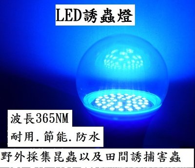 110V-220V交流電12W LED 紫外線誘蟲燈365nm防水黑光燈 UV燈