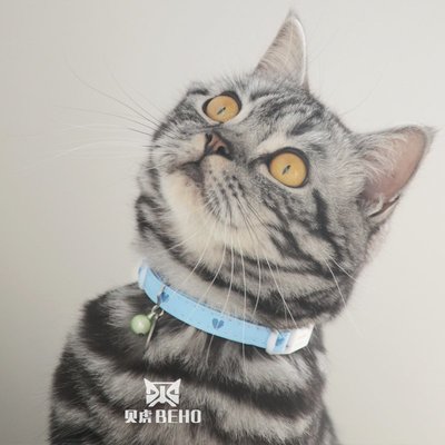 日本Petio派地奧貓咪項圈鈴鐺防走失吊牌刻字安全扣貓牌寵物項圈