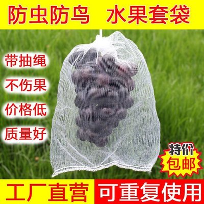 促銷打折 套葡萄水果套枇杷防蟲防鳥白色紗網套袋透氣透光防果蠅套樹苗防蟲