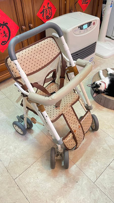 機車椅 機車推椅 娃娃椅 嬰兒推車