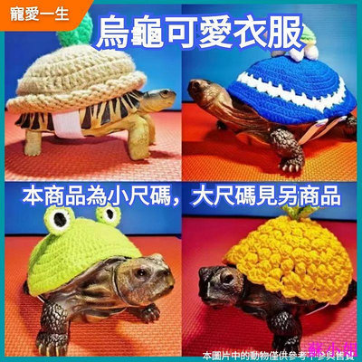 烏龜衣服 寵物用品 烏龜卡通衣服 烏龜用品 烏龜保暖冬眠 可愛陸龜水龜豹龜巴西龜草龜裝飾