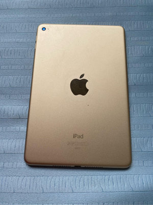iPad mini4 128g