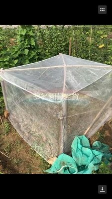 (1M×1M×1M)網室園藝~立體防蟲網~尼龍網~有機種植蔬菜~魚菜共生