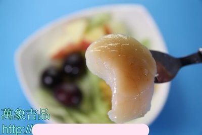 【萬象極品】日本北海道生干貝3S /1粒~生食級帆立貝柱咬下那種綿密細緻感覺~本賣場各種規格最齊全