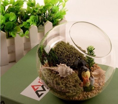 中號16cm微景觀斜口玻璃瓶 多肉植物玻璃花盆 苔蘚微景觀DIY 創意迷你植物綠植盆栽手工製作