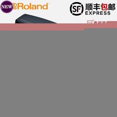 現貨熱銷-Roland羅蘭 DP-210 RPU-3 MIDI鍵盤 合成器電鋼踏 板延音踏YP3457