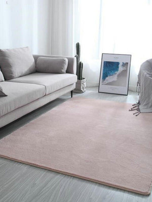 民宿地毯客廳臥室簡約代北歐沙發茶幾床邊滿鋪水洗家用地墊