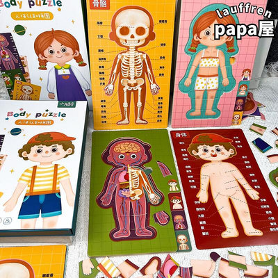 兒童人體認知身體結構器官拼圖片男孩女孩模型幼兒園教具益智玩具