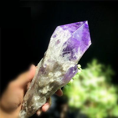 阿賽斯特萊 Amethyst 26CM 巴西紫水晶雅典娜骨幹權杖水晶柱 鈦晶球柱排手珠紅綠白藍天然黃水晶石黑超七KG公分