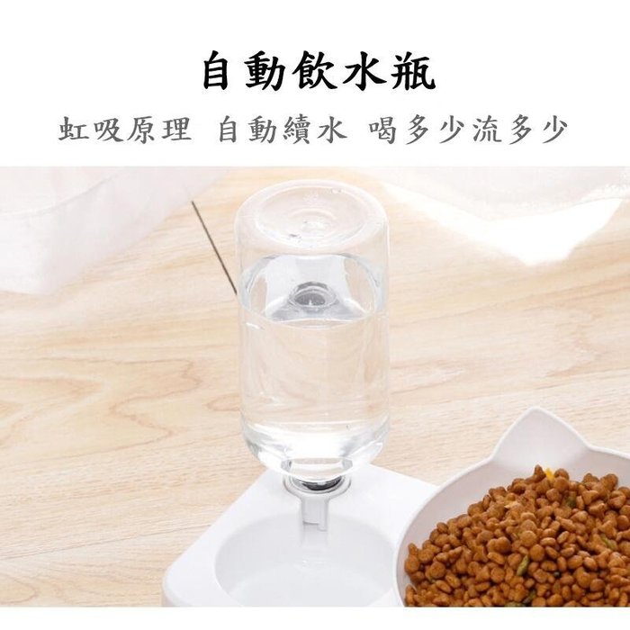 【珍愛頌】LB011 寵物餵食器 貓臉型 兩用碗 附水瓶 自動飲水器 餵食器 餵食碗 寵物碗 貓碗 狗碗 飼料碗 飲水盆