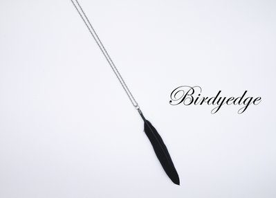 BIRDYEDGE 天然羽毛 羽毛項鍊 鋼鈦 德國鋼 高品質 永久配戴 現貨 獨家設計 項鍊男 羽毛 免運費