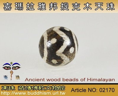 【東珠文物】古老喜瑪拉雅邦提克木天珠系列。02170
