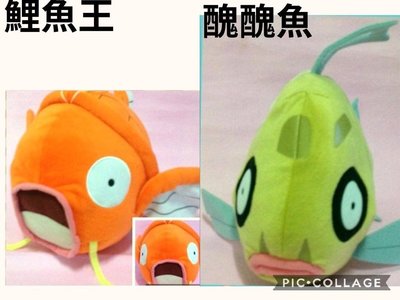 (名牌精品)(2)寶可夢(POKE`MON GO)-鯉魚王.醜醜魚(正版)大隻(稀有)2隻