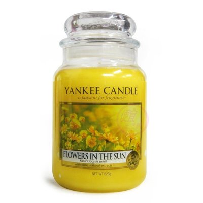 便宜生活館【家庭保健】Yankee Candle 香氛蠟燭 22oz /623g (陽光下綻放的花朵) 全新商品