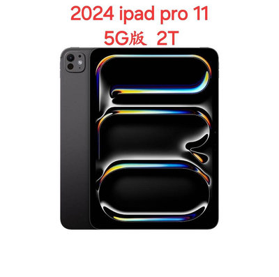 5G版 2024 Apple iPad Pro 11吋 2T