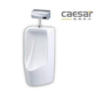【 達人水電廣場】 CAESAR 凱撒 U0282 壁掛式小便斗 + A644 自動感應沖水器