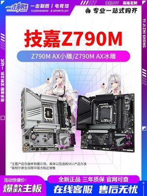 Z790M AORUS ELITE AX 小雕冰雕D5搭13600KF 13700KF 14700KF套裝