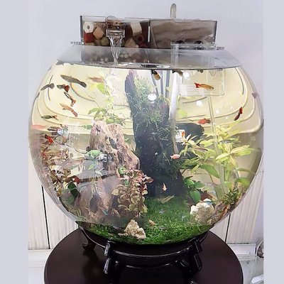現貨熱銷-50cm大號特大號加厚圓形玻璃魚缸40CM圓球形圓魚缸圓型客廳玻璃缸滿仟免運