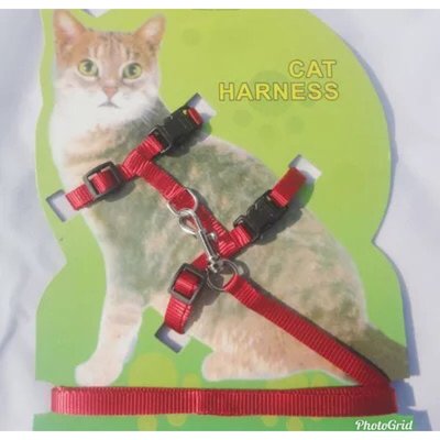 貓咪牽引繩 遛貓繩 拴貓繩 寵物胸背帶