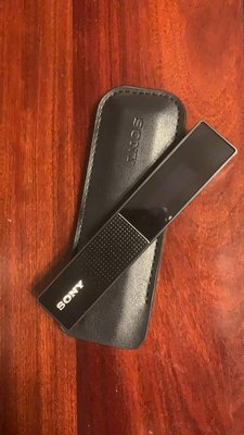SONY 錄音筆 TX650 高性能