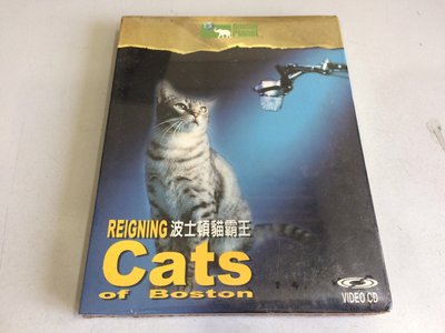 「環大回收」♻二手 VCD 早期 絕版【波士頓貓霸王 REIGNING Cats of Boston】正版 影音光碟