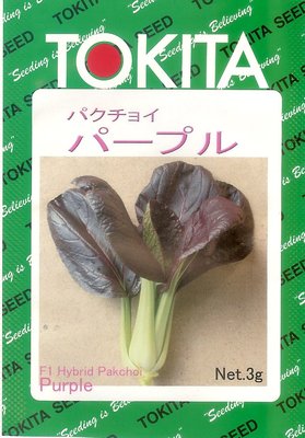【大包裝蔬菜種子L202】紫葉青江菜~~稀有品種，葉子是紫色的，很漂亮！