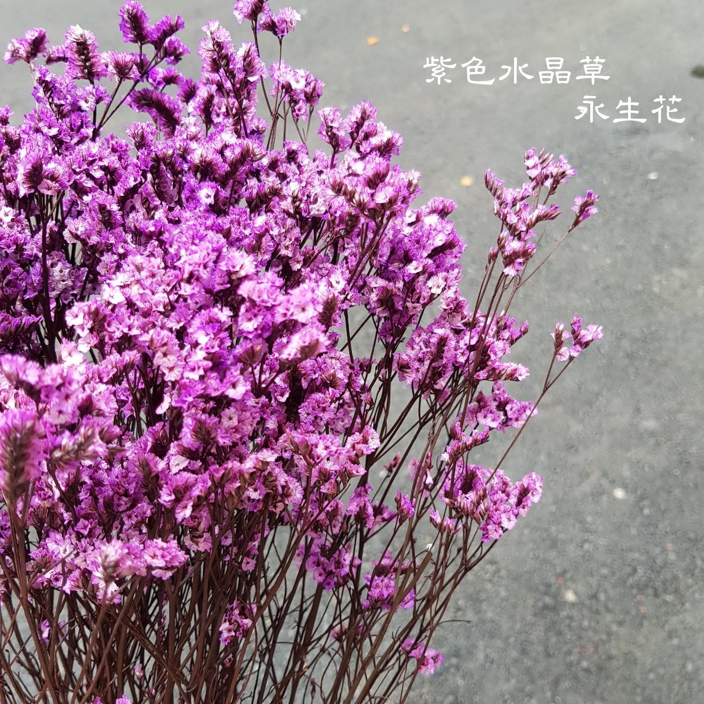 芳馨花園 永生花 水晶草 T 婚禮花藝設計 生日情人節禮物 Yahoo奇摩拍賣